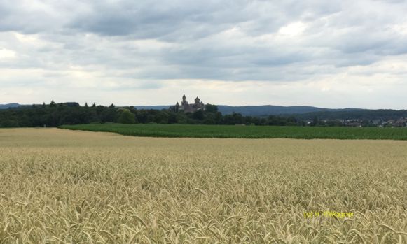 Braunfels Schloss Feld